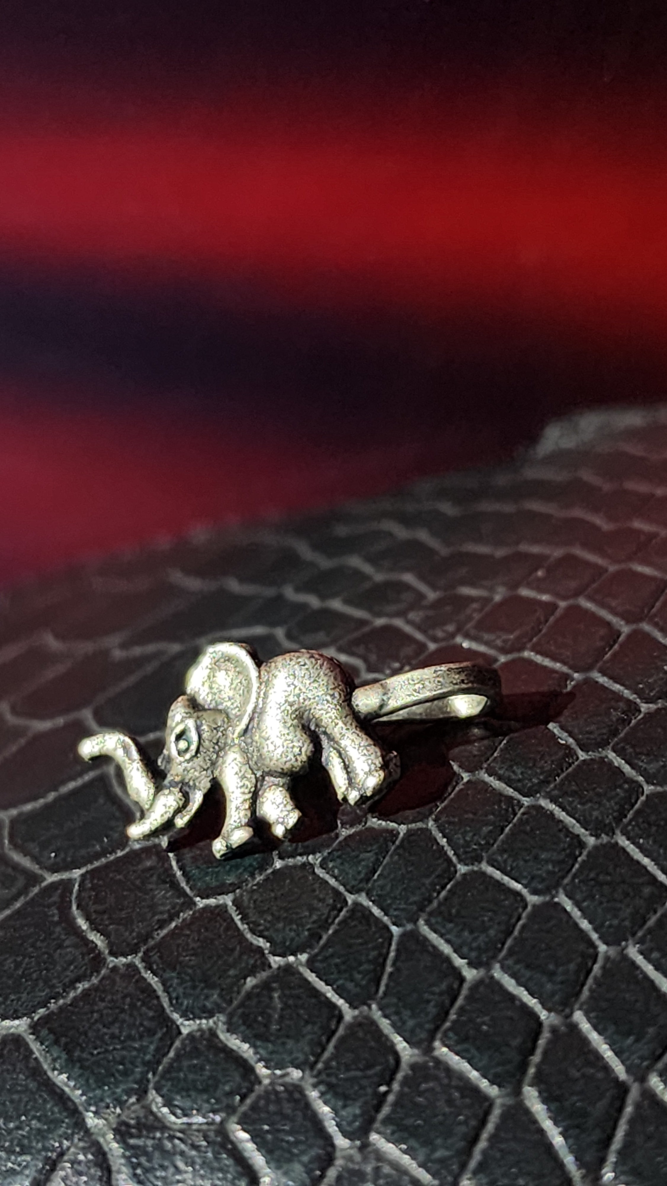 NOSE STUD ELEPHANT